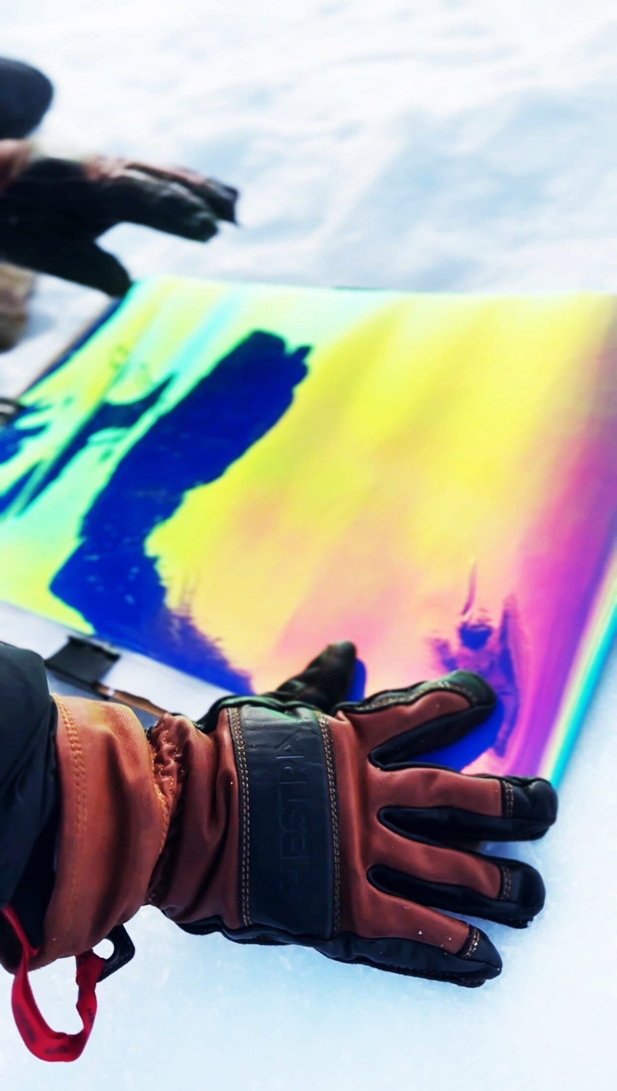 Laure Winants Arctic