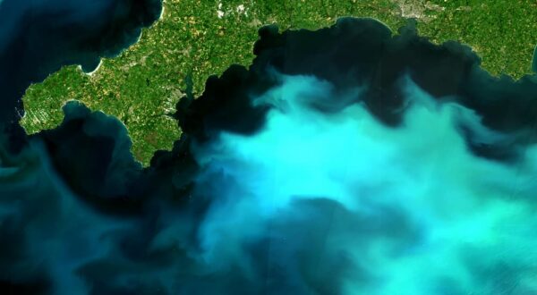 Un bloom saisonnier de coccolithophores.