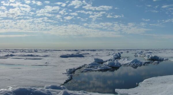 La banquise arctique