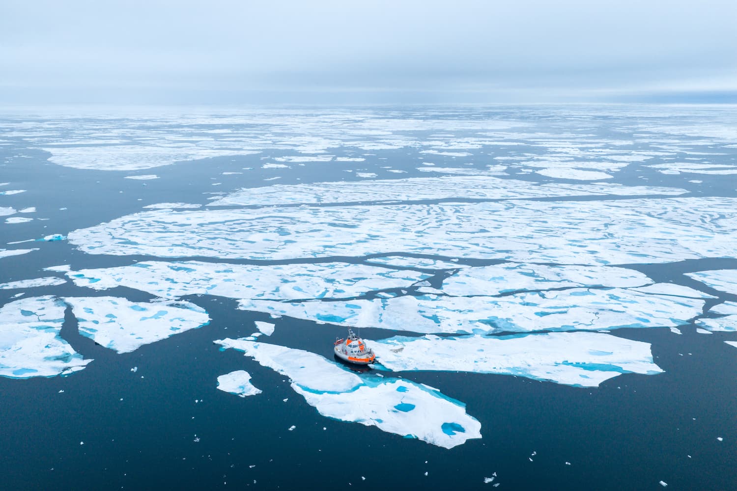 Débacle de la banquise