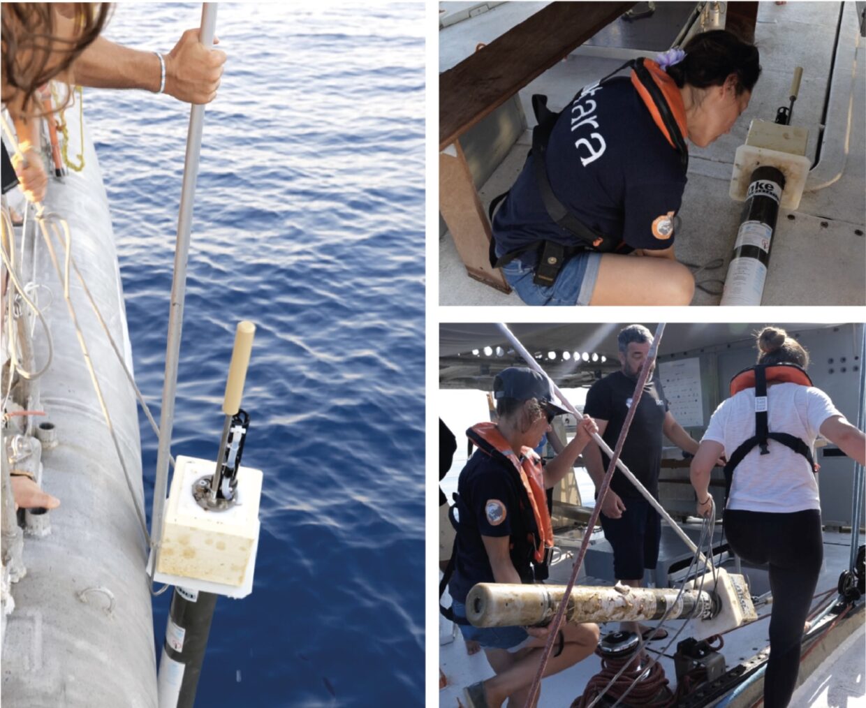Argo floats and international scientific collaboration