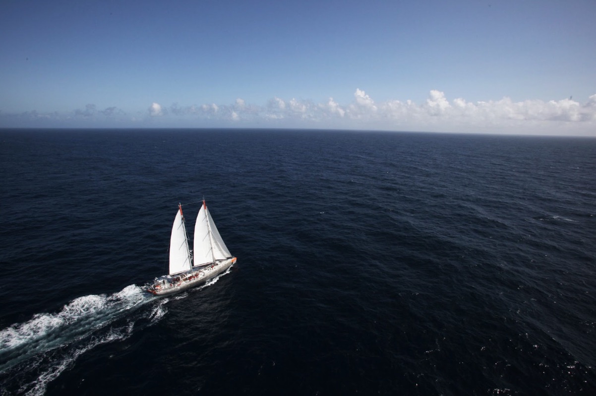 Goélette Tara ©Francis Latreille - Fondation Tara Océan