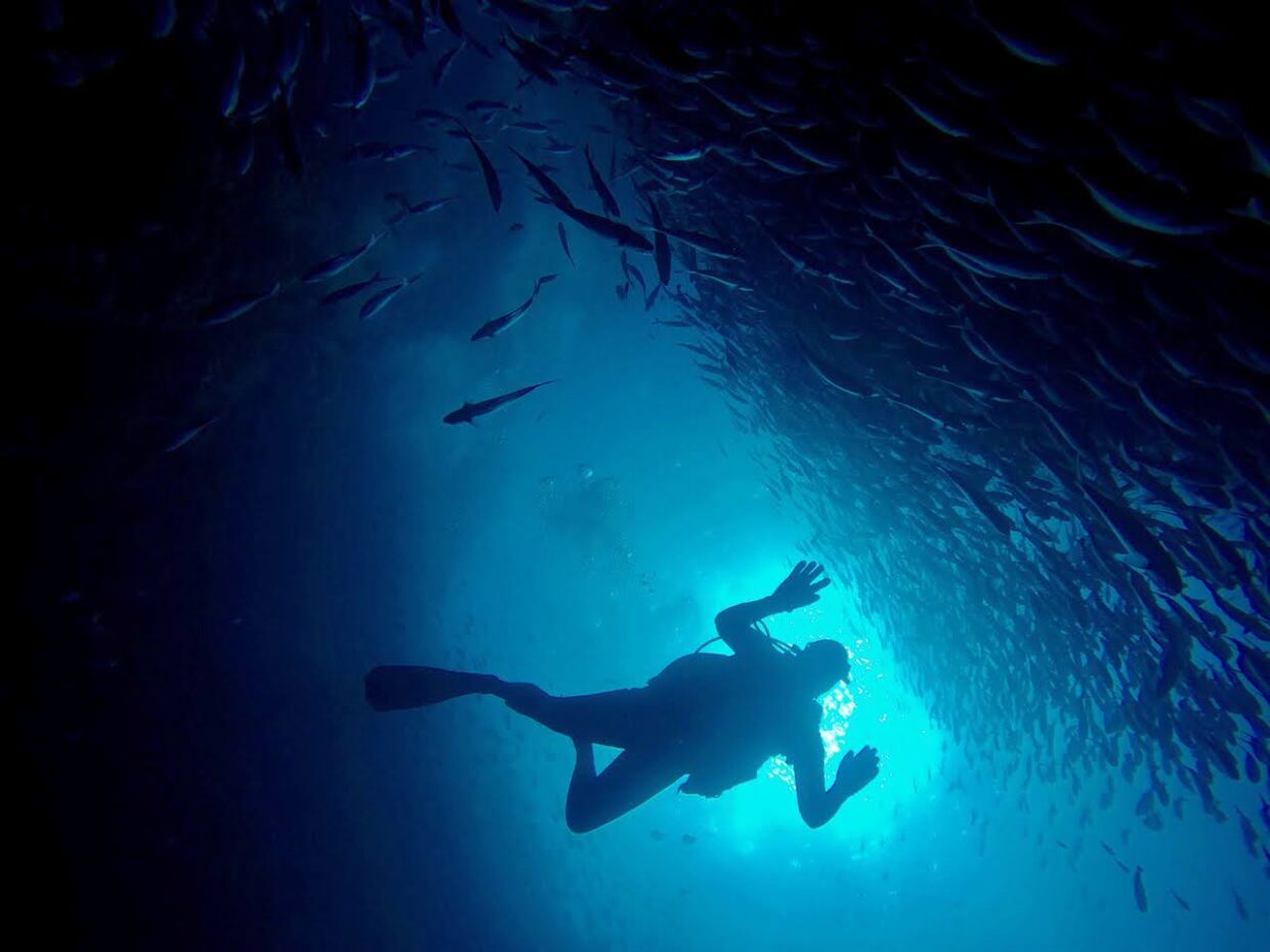 Deux plongeurs Tara -Knights islands ©François Aurat - Fondation Tara Ocean