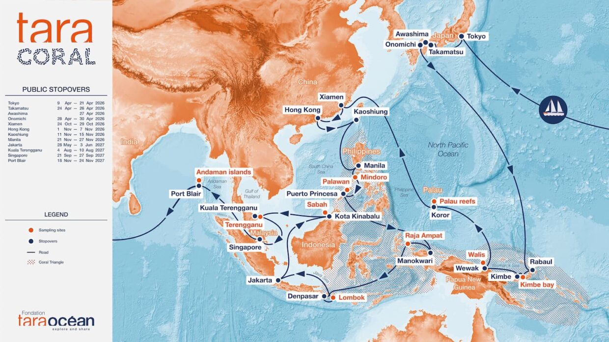 Map Tara Coral