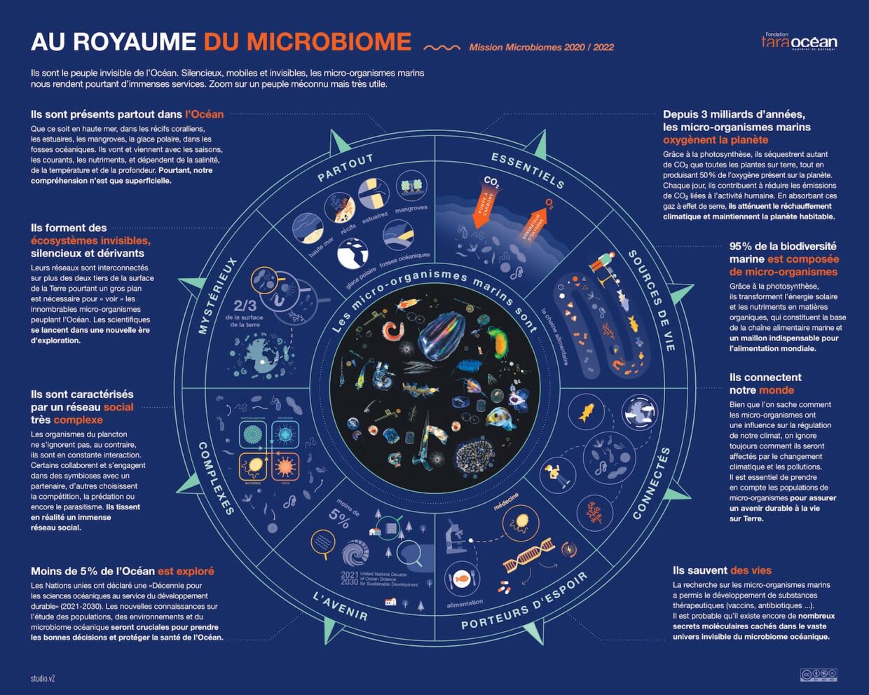 Au royaume du microbiome