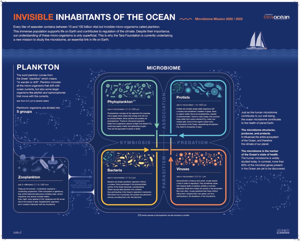 Infographic of invisible lif of the Ocean