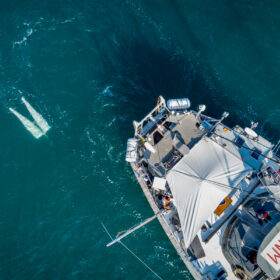 10 minutes pour comprendre : Qu&rsquo;est-ce que le plancton ?