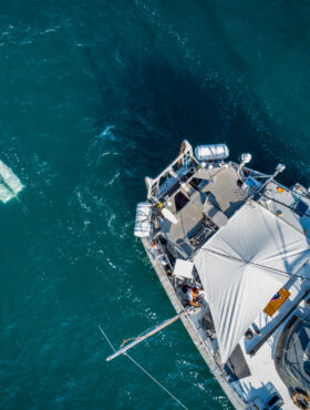 10 minutes pour comprendre le plancton