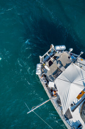 10 minutes pour comprendre : Qu&rsquo;est-ce que le plancton ?