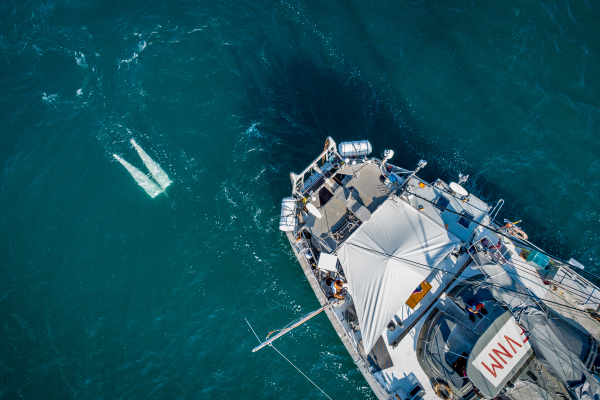 Prélèvement de plancton sur Tara