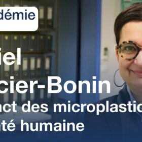 Impact des micro- et nanoplastiques en santé humaine, par Muriel Mercier-Bonin