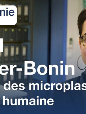 Impact des micro- et nanoplastiques en santé humaine, par Muriel Mercier-Bonin