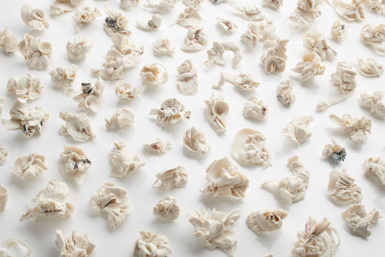 Denmark Arcanic specimens