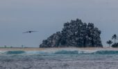Tara Clipperton