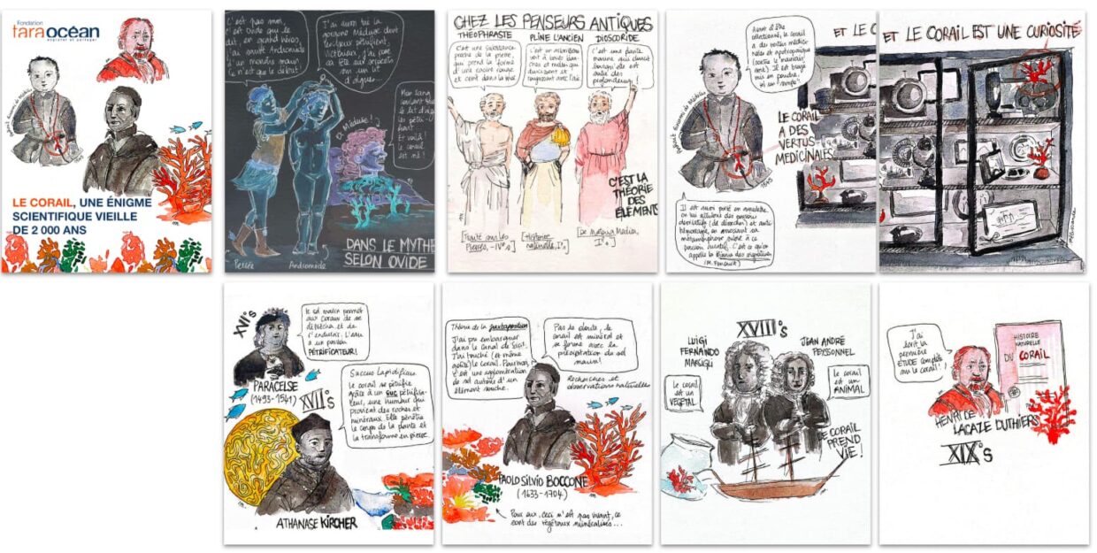 Résumé dessiné réalisé par Mélissande Dubos.